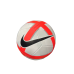 NIKE Pro-Team FA 25 Men's Futsal Ball White HV6327-100
